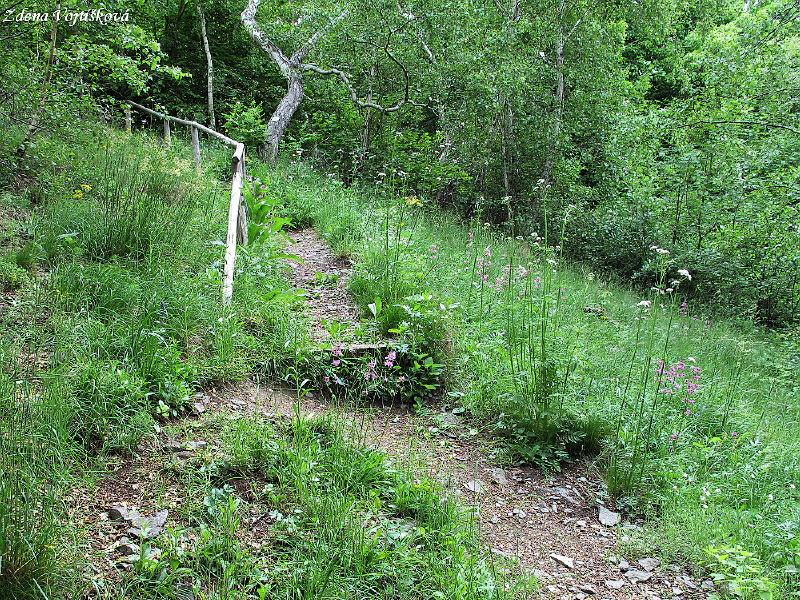 Kozlk ukrajinsk chlumn_05