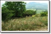 strdivka-sedmihradska_07.jpg