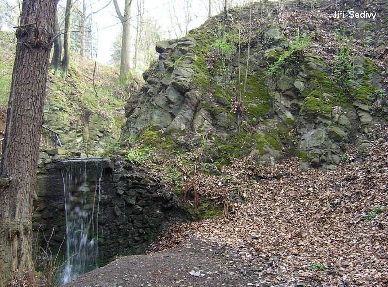 Bertino dol_08
