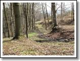dlouhy-vrch-masiv_26.jpg