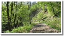 dlouhy-vrch-masiv_36.jpg