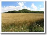 kletecna_01.jpg