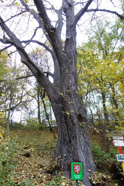Krlovsk pramen_11