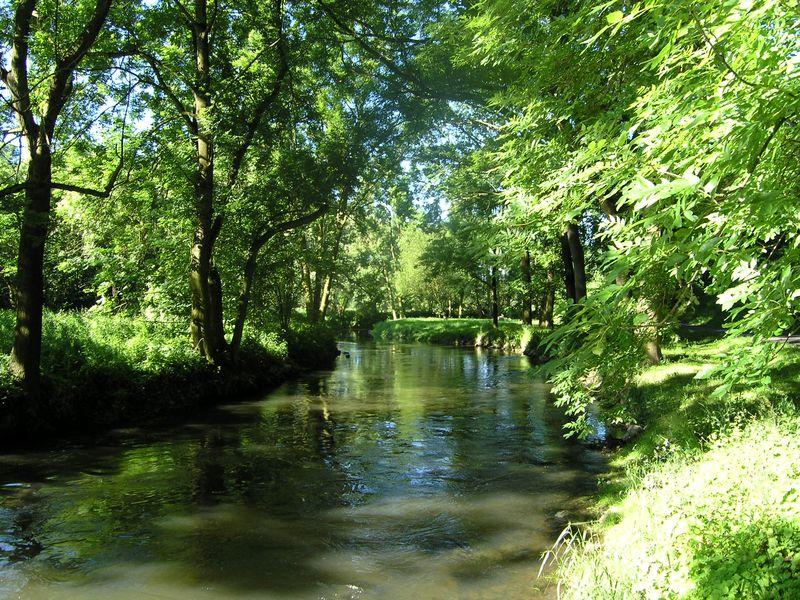 Krlovsk pramen_15