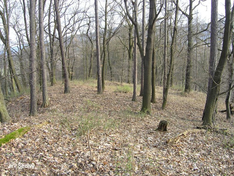 Ostr u Beneova nad Plounic_24